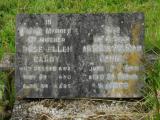 image of grave number 163635